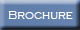 Online Brochure